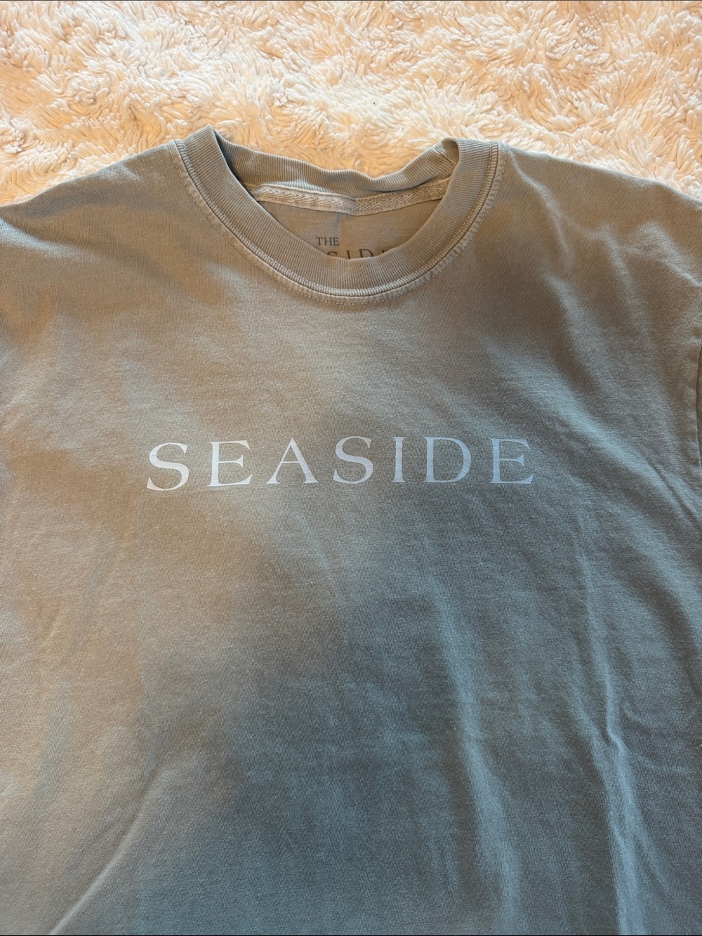 Seaside Graphic Crewneck T-Shirt - Dusty Green